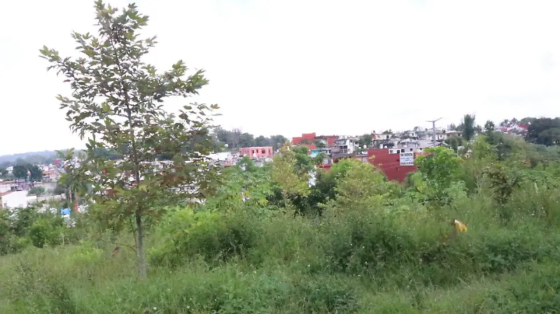 Parque La Loma en Xalapa